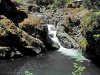 middle santiam falls thumbnail graphic